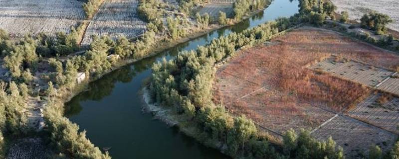 孔雀河在新疆什么地方 库尔勒孔雀河为什么叫孔雀河