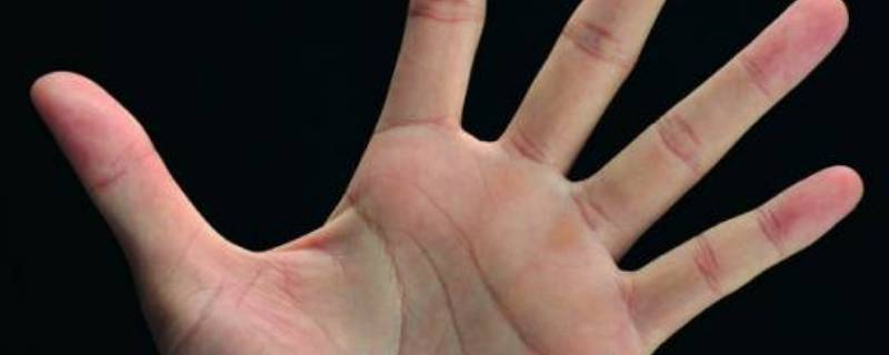 测量手掌的宽度用什么测量 手掌宽度怎么测量