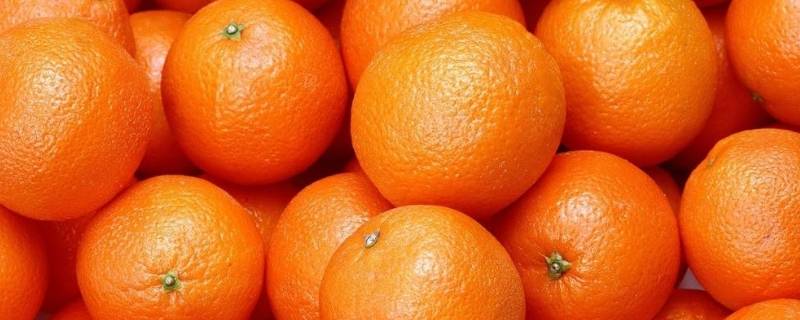 橙子寓意 橙子寓意着什么意思
