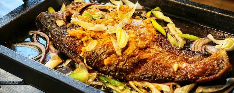 韩国烤鱼一般用什么鱼 烤鱼一般用什么鱼