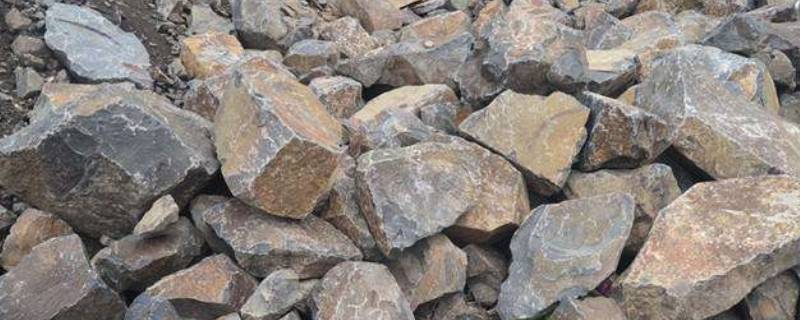 石灰岩属于什么岩 石灰岩属于什么岩类