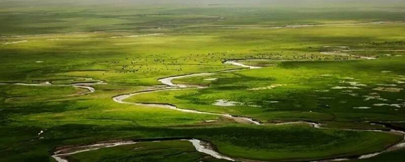 湿地是地球之肾还是肺 湿地作用为什么说湿地是地球之肾
