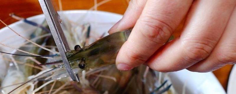虾的处理方法 虾的处理方法视频