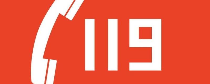 家里有蜂窝可以求助119吗 蜂窝可以找119吗