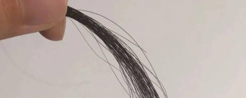 头发丝的直径是多少 头发丝的直径是多少微米
