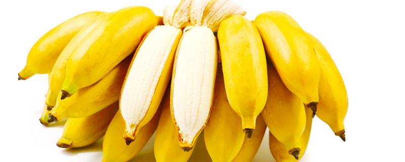 小小的香蕉是什么品种的? 小香蕉是什么品种