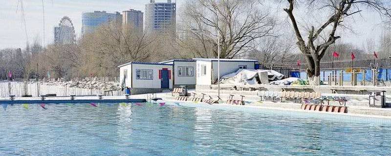 中国的第一所冬泳科研所是哪（中国的第一所冬泳科研所是哪儿）