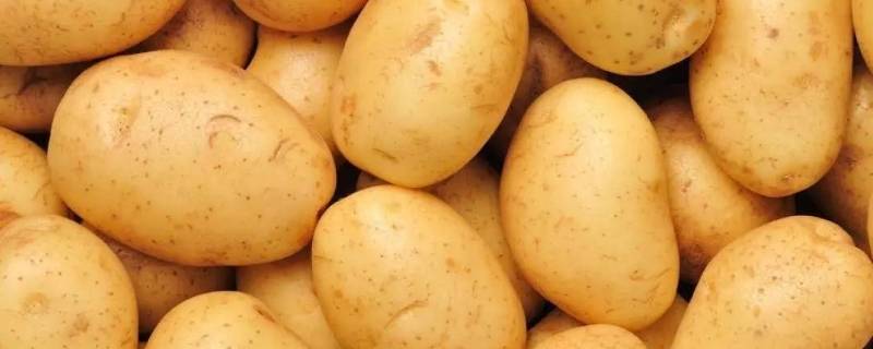 土豆如何切成丝 土豆如何切成丝儿?