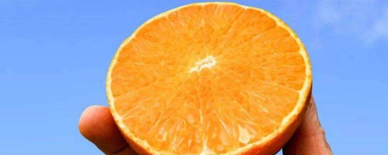 果冻橙是热性还是凉性 果冻橙是凉性水果还是热性水果