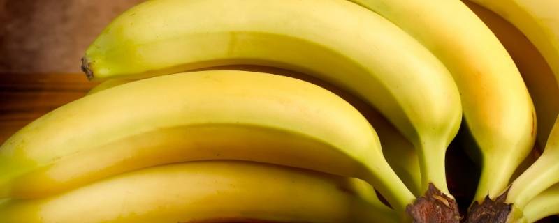 香蕉种类（香蕉种类有多少种）