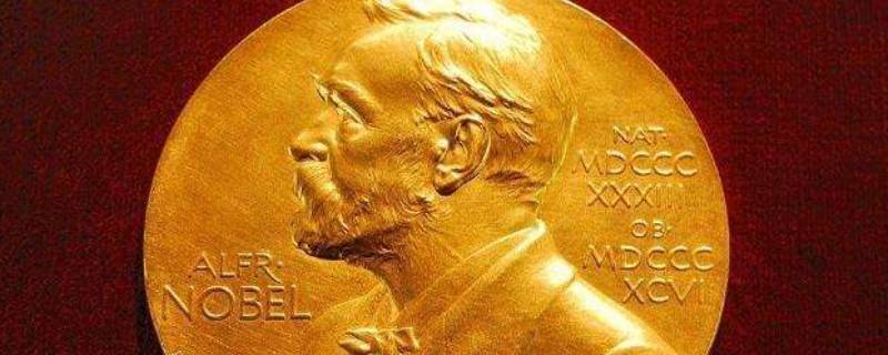 诺贝尔有几个奖（诺贝尔几项奖?）
