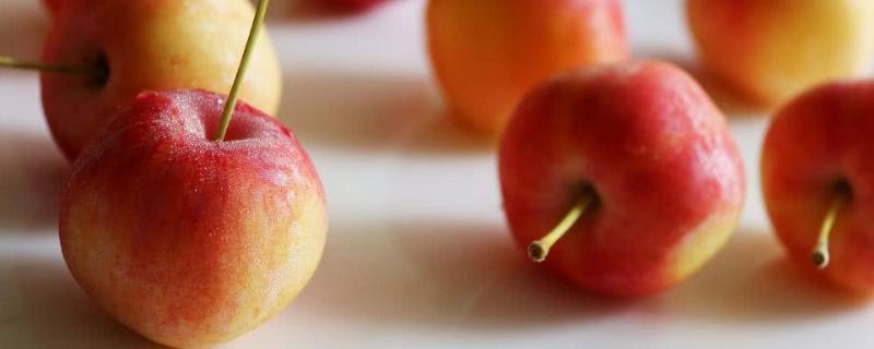 比苹果小很多的果子叫什么 比苹果小的果子叫什么