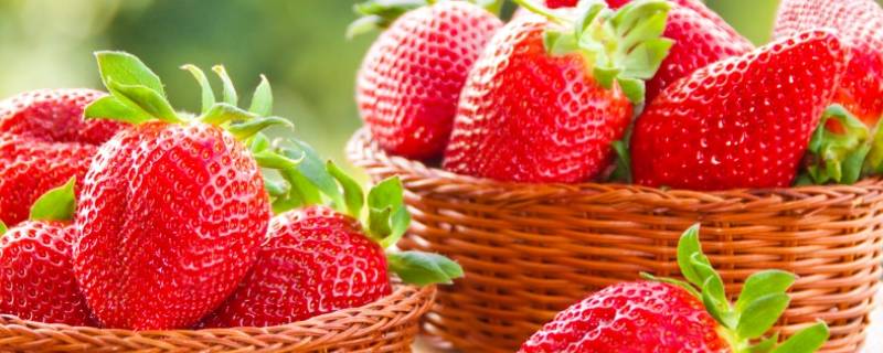 草莓是什么 草莓是什么形状