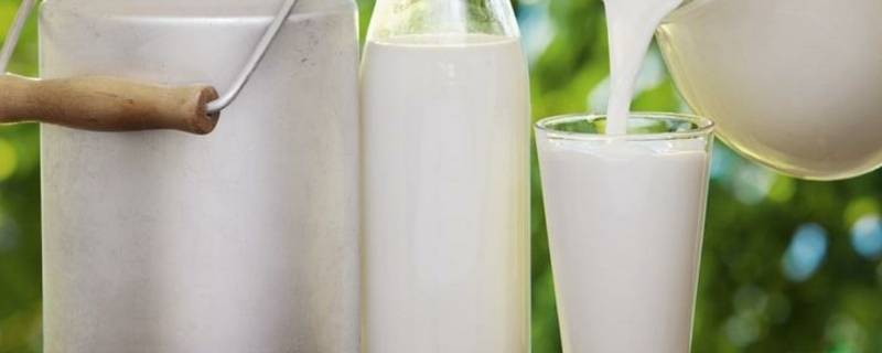a2奶源和一般奶源有什么区别 a2奶源和普通奶源的区别