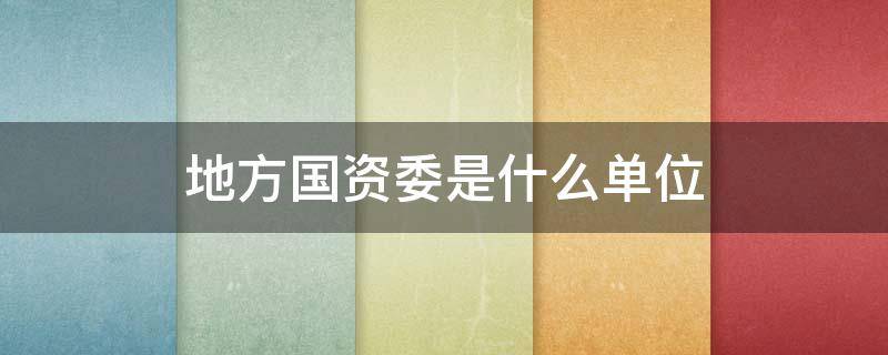 地方国资委是什么单位（地方国资委属于）