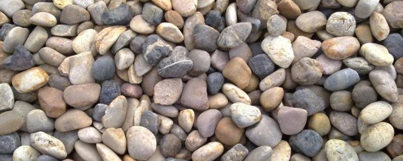 鹅卵石是岩石吗（鹅卵石是什么类型的岩石）