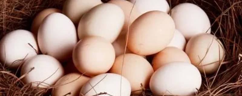 鸡蛋要不要放冰箱保存 夏天鸡蛋要不要放冰箱保存