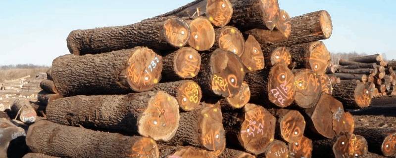 干木材是绝缘体还是导体 干木材是不是导体