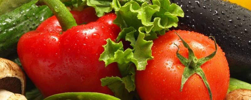 杀虫剂可以喷在蔬菜上杀虫吗 除了农药,用什么喷菜除虫
