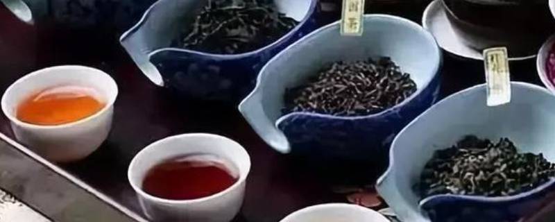 茶的品种有哪些 茶的品种