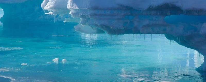 北冰洋在地球仪上的哪个位置 北冰洋在地球仪上的哪个位置图片