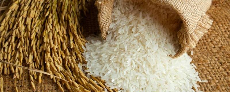 大米煮熟后有股酸味 煮熟的大米有点酸味怎么办