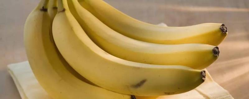 香蕉皮是什么部位 香蕉皮属于哪里