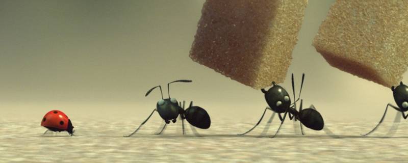 楼上有蚂蚁怎么回事 楼上有蚂蚁是什么原因