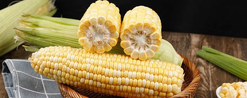 玉米歪头是什么原因 玉米弯头是什么原因