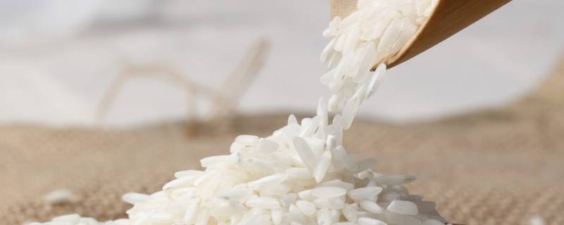 米放冰箱冷藏可以放多久 洗过的大米放冰箱冷藏可以放多久