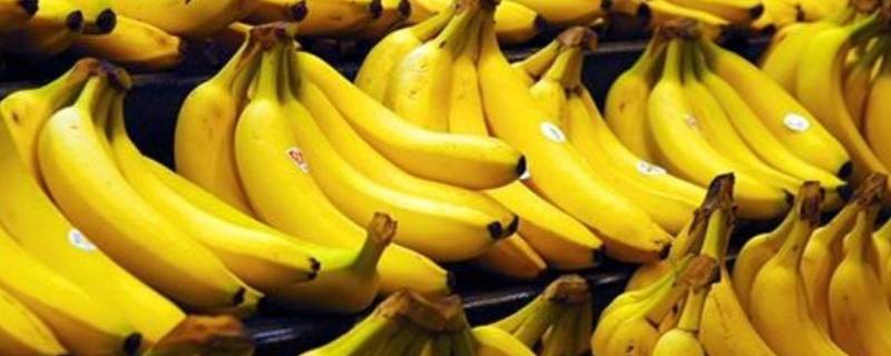 夏天香蕉能放冰箱里吗 香蕉能放冰箱里吗
