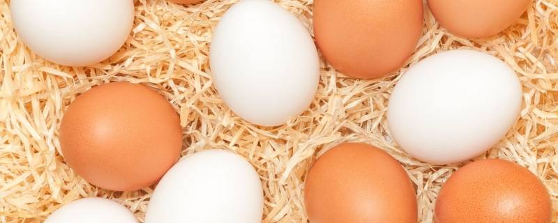 怎么辨别鸡蛋是否新鲜 怎么判断鸡蛋是否新鲜