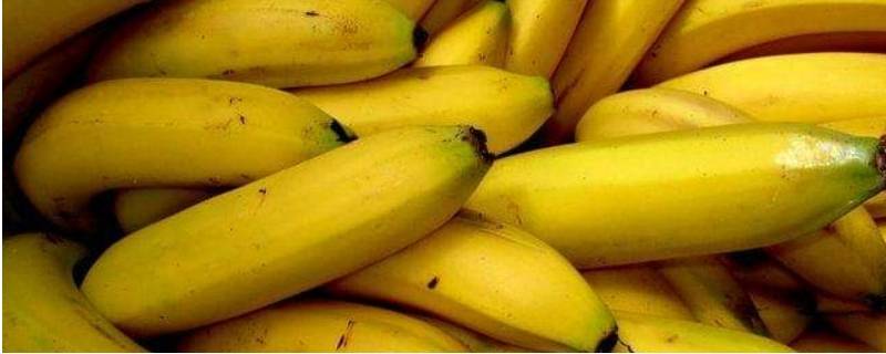 香蕉可以冷藏吗 香蕉能冷藏嘛