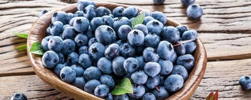 蓝莓的味道 蓝莓的味道为什么会苦