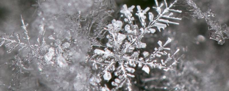 冰晶有毒吗 冰晶是什么成分对人体有危害吗
