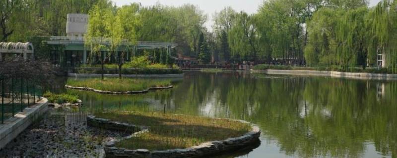 人定湖公园在哪 人定湖公园在北京什么地方