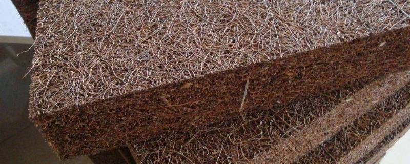 棕床垫生虫子怎么办 床垫棕垫生虫
