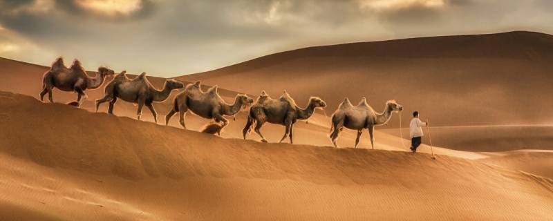 新疆的沙漠有哪些 新疆的沙漠有哪些?