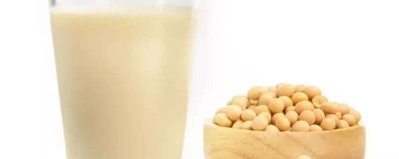 每一百克豆浆含多少蛋白质 一杯豆浆含多少蛋白质