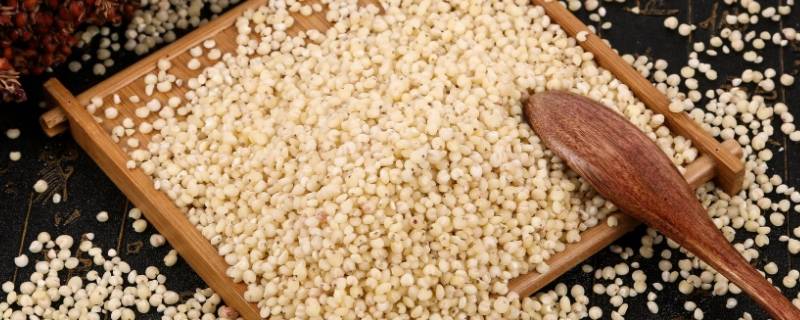 杂粮米要提前泡多久 杂粮米要提前泡多久可以做煎饼