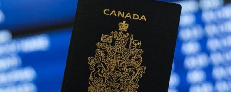 加拿大签证照片尺寸要求 加拿大签证照片尺寸要求2021