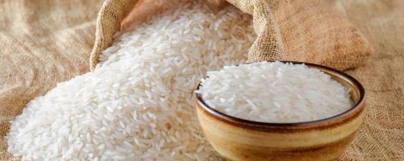 黍米和小米有什么区别 黍米和小米有什么区别图片
