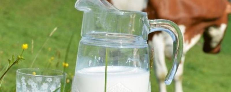 如何正确的选择好的牛奶 如何正确的选择好的牛奶图片