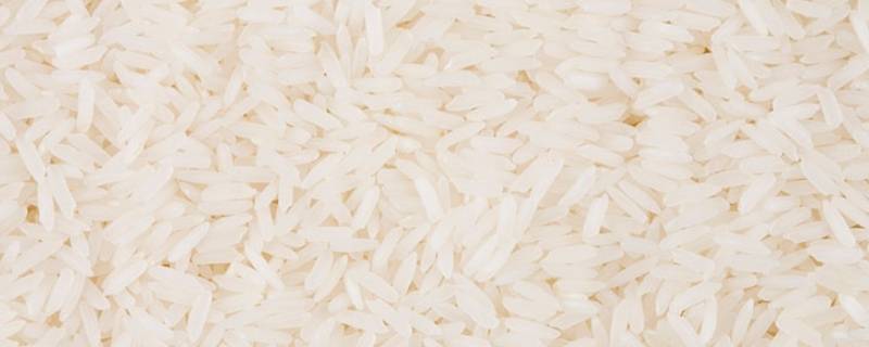 米里面放什么东西才不会长虫 米里面放什么不长虫子