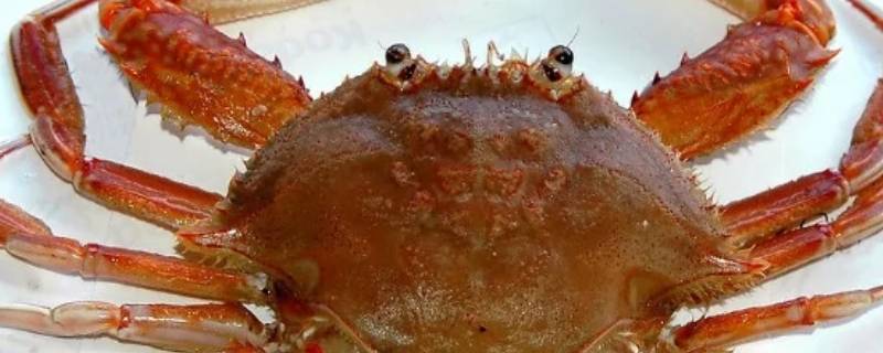 螃蟹产卵多久出小螃蟹 螃蟹有卵多久生螃蟹