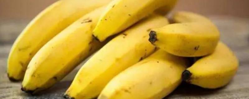 香蕉属性 香蕉属性是什么