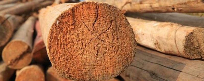 干燥的木头是不是绝缘体 干木材是绝缘体吗