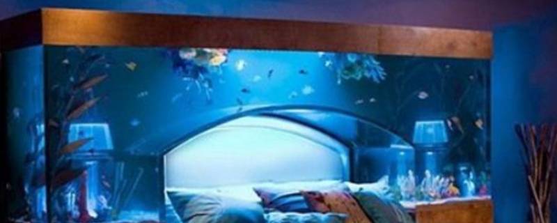 小鱼缸可以放在卧室吗 风水 小鱼缸可以放在卧室吗
