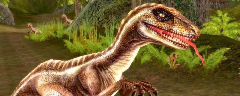 velociraptor是什么恐龙（velociraptor是什么恐龙怎么读）