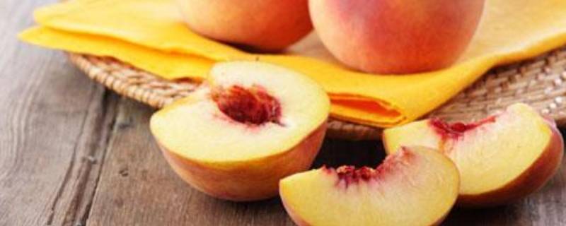 桃子成分含量 桃子成分